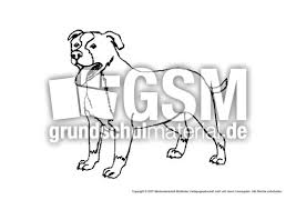 Labrador Tiere Gemischt Tiere Zum Ausmalen Ausmalbilder Bildende Kunst Material Klasse 1 Grundschulmaterial De