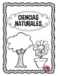 Además de pintar, hay otras muchas formas de decorar tus paredes. Pin En Portadas