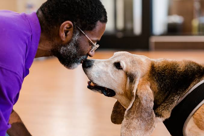 Easy Ways to Strengthen the Bond With Your Pet - Houston SPCA