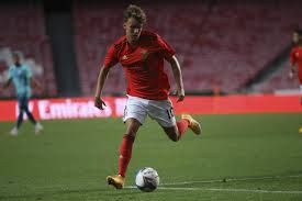 Benfica Bournemouth Jogo Treino Sl Benfica