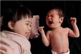 哎喲，這是蝦米人蔘- 看到帳篷是今天最開心的時刻| Facebook