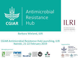 Barbara Wieland 21 22 Feb 2019 Cgiar Amr Hub Launch Health Research Good Communication Development Activities