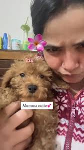 this one doesn't do anything wrong 🙂‍↔️🐾she's perfect💗 . . . .  #perfectchild