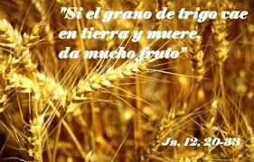 Dios Me Habla Hoy Juan 12 24 26 Al Que Me Sirva Mi Padre Le Honrara Http Es Catholic Net Op Articulos 4988 El Grano De Trigo Html Grano Granos Trigo