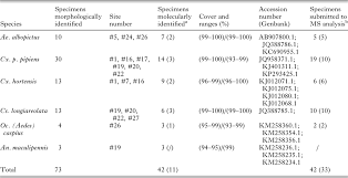 Field Application Of Maldi Tof Ms On Mosquito Larvae