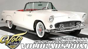 Image result for Snowshoe White 1955 Thunderbird