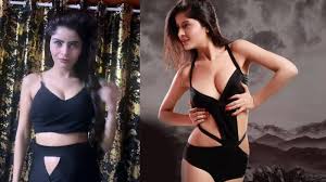 Gehana Vasishts issues a statement saying that she is innocent and not  involved in porn racket