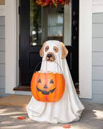 Outdoor Life Sized Candy Bowl Ghost Dog Balsam Hill Ghost Dog Dog Halloween Costumes Dog Photoshoot