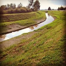 Sissa Trecasali Pr Loc San Nazzaro Canale Milanino Sissatrecasali Italy Naturelovers Parma Instagram Country Roads Instagram Posts