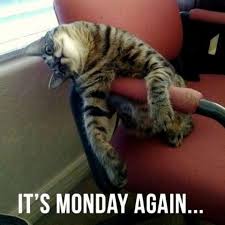 See more ideas about funny quotes, bones funny, just for laughs. 70 Funny Monday Memes To Help You Get Through The Day Inspirationfeed