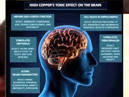 An Introduction To Copper Toxicity Copper Toxicity Wilson S Disease Health And Nutrition