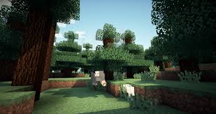 Complementary is a minecraft java edition shader pack based on capt. Shaders Mod 1 17 1 1 16 5 1 15 2 1 14 4 1 13 2 For Minecraft Download