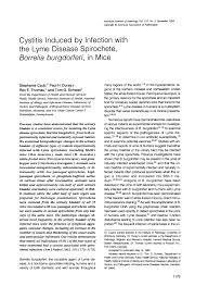 Cystitis Induced By Infection With The Lyme Disease Spirochete Borrelia Burgdorferi In Mice Abstract Europe Pmc