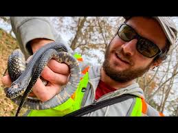 Late November herping with Grover Brown!! Beautiful Kingsnake!!