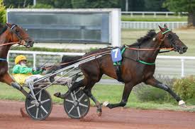 Onlyfans Video- Sunnyrayxo's Best Leaked Act