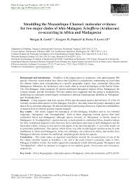 Image result for Astropanax myrianthus