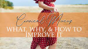 Cervical Mucus | The What, Why, & How To Improve It