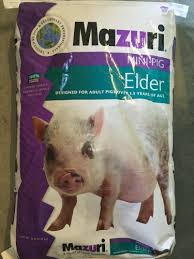 What Do You Feed Mini Pigs Avalonit Net