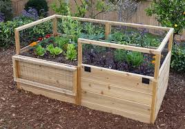 Garden Bed Raised Gardening Kit 6 X3 Outdoor Living Today Diy Raised Garden Cedar Raised Garden Beds Cedar Garden