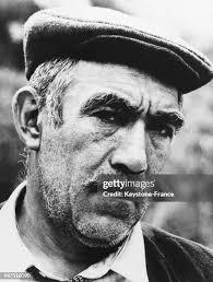 6.428 Quinn Anthony Stock Photos, High-Res Pictures, and Images