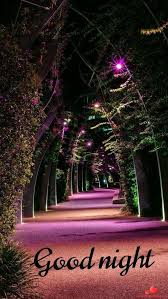 Download For Free Nice Pictures Images Photos For Facebook And Whatsapp Of Good Night Beautiful Good Night Images Good Night Love Images Good Night Images Hd