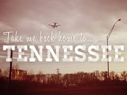 Take Me Back Home To Tennessee Tennessee State Of Tennessee Rocky Top Tennessee