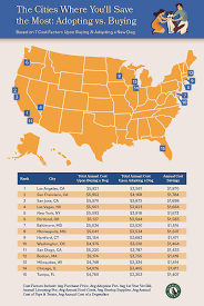 But it's important to consider vet fees when working out your budget for. The Cost Of Owning A Dog In The United States Vetnaturals Blog