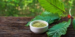 Caranya, kamu gunakan madu sebagai masker wajah diamkan selama 20 menit, kemudian bilas dengan air bersih. Mengenal Kratom Dari Manfaat Hingga Efek Konsumsinya Halaman All Kompas Com
