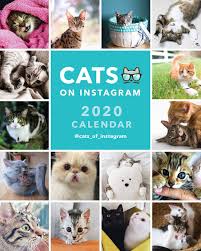 There are 201 2020 cat calendar for sale on etsy, and they cost nz$25.13 on average. Buy Portico Cats On Instagram 2020 Desk Calendar At Mighty Ape Nz