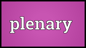 Plenary Google Definition Unqualified Absolute Golingo Example The Plenary Session Concluded Amidst A Great Choas My Sente Vocabulary Project Words Vocab