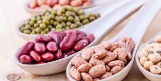 Kacang adalah sumber nutrisi yang baik, karena mengandung banyak vitamin, mineral, kalsium, dan asam lemak tak jenuh. 15 Makanan Sehat Untuk Ibu Hamil Yang Kaya Asam Folat Parenting Dream Co Id