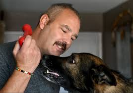 K9 Hero Pillow Project