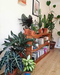 Houseplants Indoor Plants Plants Decor Home Decor Interior Style Plant Corner Nordic Style Scandinavian Living Hippie Home Decor Plant Decor Plant Decor Indoor