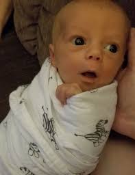 Jackson Minnick Obituary November 13, 2019