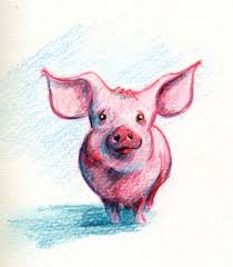Pencil Drawing Of Pig Drawings Color Pencil Drawing Drawing Illustrations