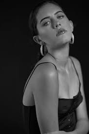 Super Soft Silver Reflectors from Rogue