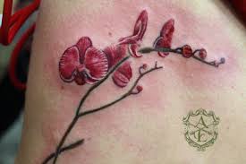 Orchid tattoos are worn by both man and women as they represent the sexual nature of males the orchid tattoo with vines and its small replicas, carved on the left upper back, has a charming appeal. Great Orchid Flower Pictures Tattooimages Biz