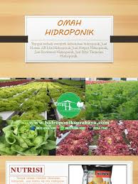 Hidroponik adalah sebuah teknik menanam tanaman, terutama sayur, dengan mengurangi jumlah tanah pada proses penanamannya bahkan ada yang sama sekali tidak menggunakan tanah dalam menanamnya. Omah Hidroponik