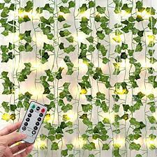 $23 at the sill · 2 assorted tillandsia air plants. Amazon Com Jackyled 84ft 12 Pack Artificial Ivy Garland Fake Plants With Ce Certified 80 Led String Lights And Remote Control Hanging Plant Vines For Aesthetic Bedroom Garden Wedding Party Wall Room Decor