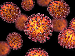 Experts say the rise in rapid testing may give people a false sense of security. Millions Of Rapid Covid 19 Antigen Tests May Help Fill The Testing Gap Scientific American