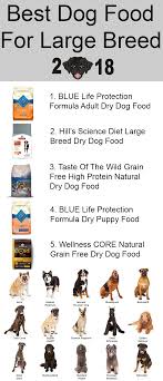 Best puppy food for large breeds. 10 Best Healthiest Dog Foods For Large Breed Dogs In 2020 Best Dog Food Dog Food Recipes Large Dog Breeds