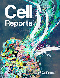 (1990) reported that the major components of spherical cell wall in cell suspension cultures of c. 056zmv0dehbgvm