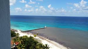 It can smell terrible, it looks terrible, creates terrible problems for water activity, and it is just plain terrible !! Vista De La Playa De Hotel Melia En Color Cafe El Sargazo Al Pte Pasando La Escollera Mar Azul Picture Of Melia Cozumel Tripadvisor