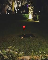 من ستوري ديميت demir canem canyaman candem ديميت اوزدمير erkencikus مسلسلات تركية قصة عشق جان يامان golf courses field golf