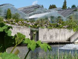 The fort worth botanic garden is now partnered with the botanical research institute of texas. Botanischer Garten In Marburg Benotigt Millionen Fur Gewachshaus Sanierung Frankenberg Waldeck