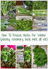 It is a great way to make use of an herb garden and enjoy them long term. How To Freeze Herbs For Winter An Easy Tutorial To Help You Preserve Some Of Your Favorite Herbs For The Cold Season Freezing Herbs Preserve Fresh Herbs Herbs
