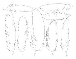14 feather templates are collected for any of your needs. Feathers Pdf Google Drive Feather Template Paper Feathers Feather