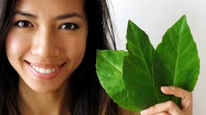 Image result for health benefits of longevity spinach