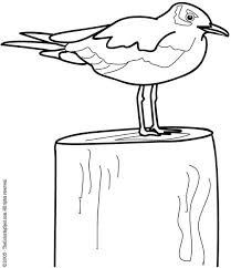 You can use our amazing online tool to color and edit the following seagull coloring pages. Seagull Coloring Page 2 Audio Stories For Kids Free Coloring Pages Colouring Printables