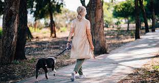 What kind of dog should i take for a walk? Walking 10 Miles A Day Calories Burned And Weight Loss